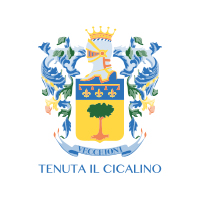 cicalino