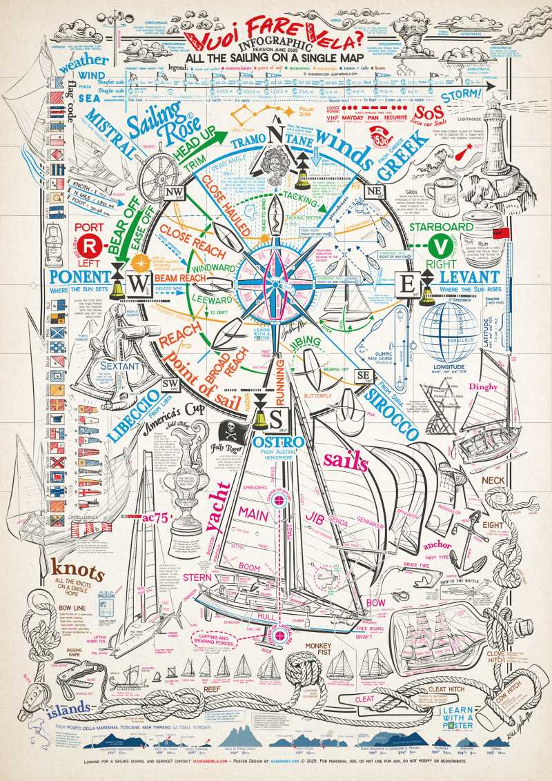 vela infografica